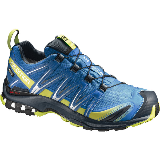 Salomon Trail Løbesko Herre Blå - XA PRO 3D GTX® (UPFAN-1820)